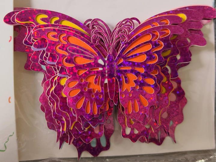 MARIPOSA FUCSIA