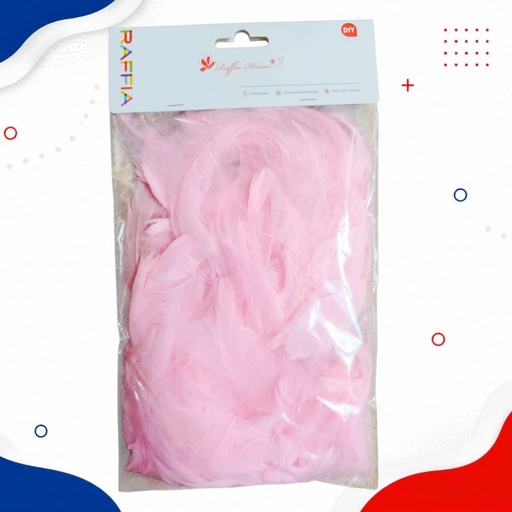 [JJJ253216] PLUMAS ROSADA