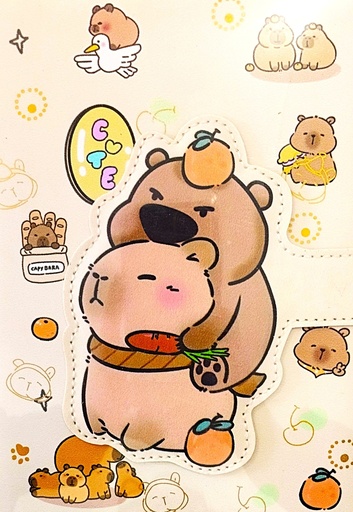[ZL-01] CUADERNO CAPIBARA CON LAPICERO EN ACETATO 