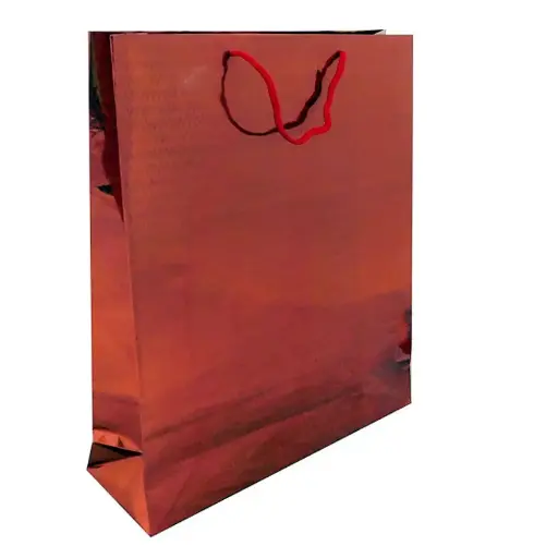 [JJJ0089] BOLSA HOLOGRAMADA #8 43*55CM 