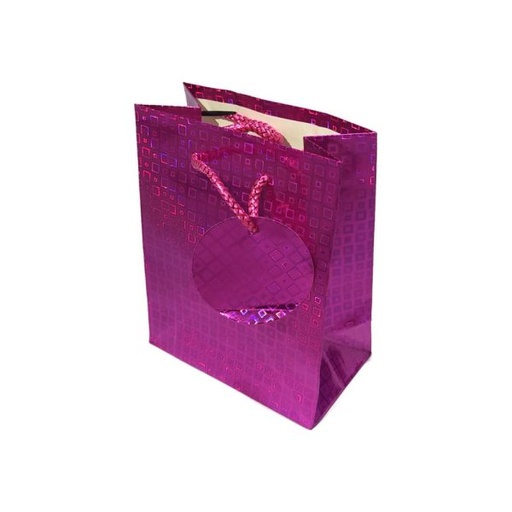 [JJJ0088-J405] BOLSA HOLOGRAMADA #2 21.5*18CM 