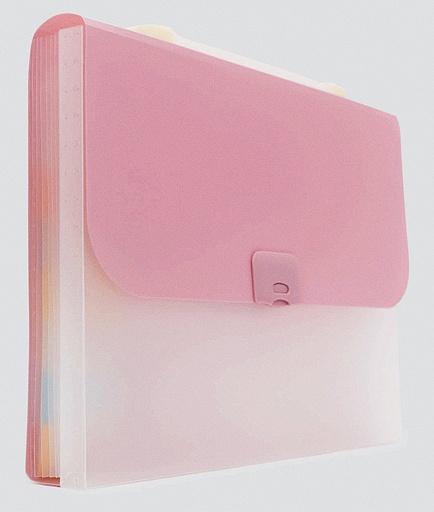 [JJJ0209] CARPETA 13 BOLSILLOS OFICIO TRANSPARENTE 