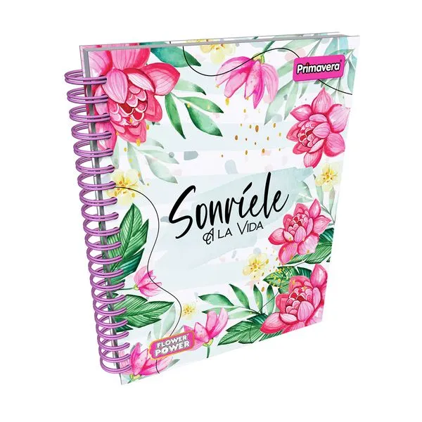 CUADERNO PASTA DURA ARGOLLADO PEQUEÑO LUKIS 85 1M NIÑA