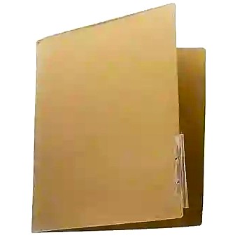 CARPETA LEGAJADORA CARTON CARTA