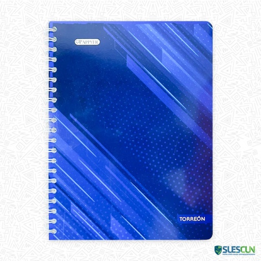 CUADERNO ACADEMICO ECO LINEA HOMBRE 