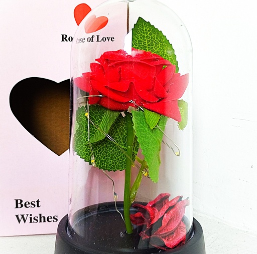 [JJJ253163] FLOR ROSA ROJA ETERNA 8*15CM 